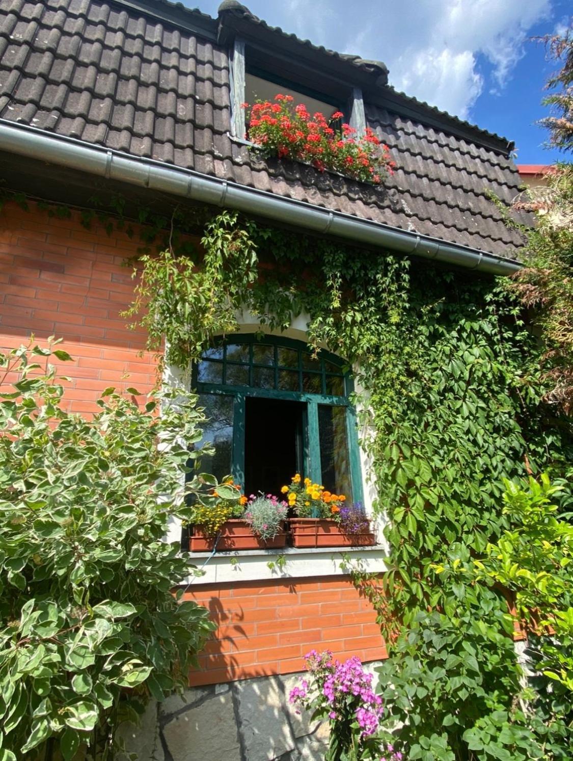 Apartman Dum U Kouli Prameny Exteriör bild